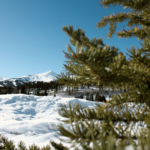 Breckenridge Rentals