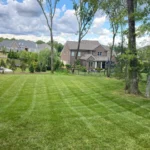 Lawn Maintenance Company Brentwood